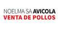 Noelma Sa - Avicola - Venta De Pollos
