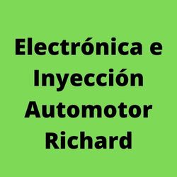 Electronica E Inyeccion Automotor Richard