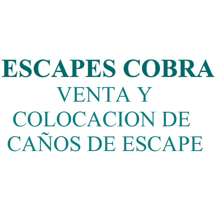 Escapes Cobra - Venta y Colocación de Caños de Escape