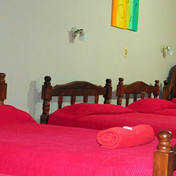 Hotel Confort - Imagen 3 - Visitanos!