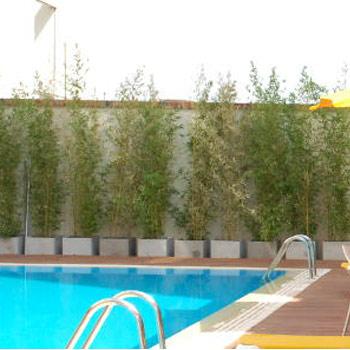 Gran Hotel Guarani - Imagen 5 - Visitanos!